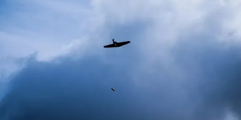 ЗСУ отримають безпілотні авіаційні комплекси В-1