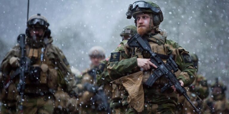 Країни Північної Європи та Балтії озброять і навчать українську бригаду