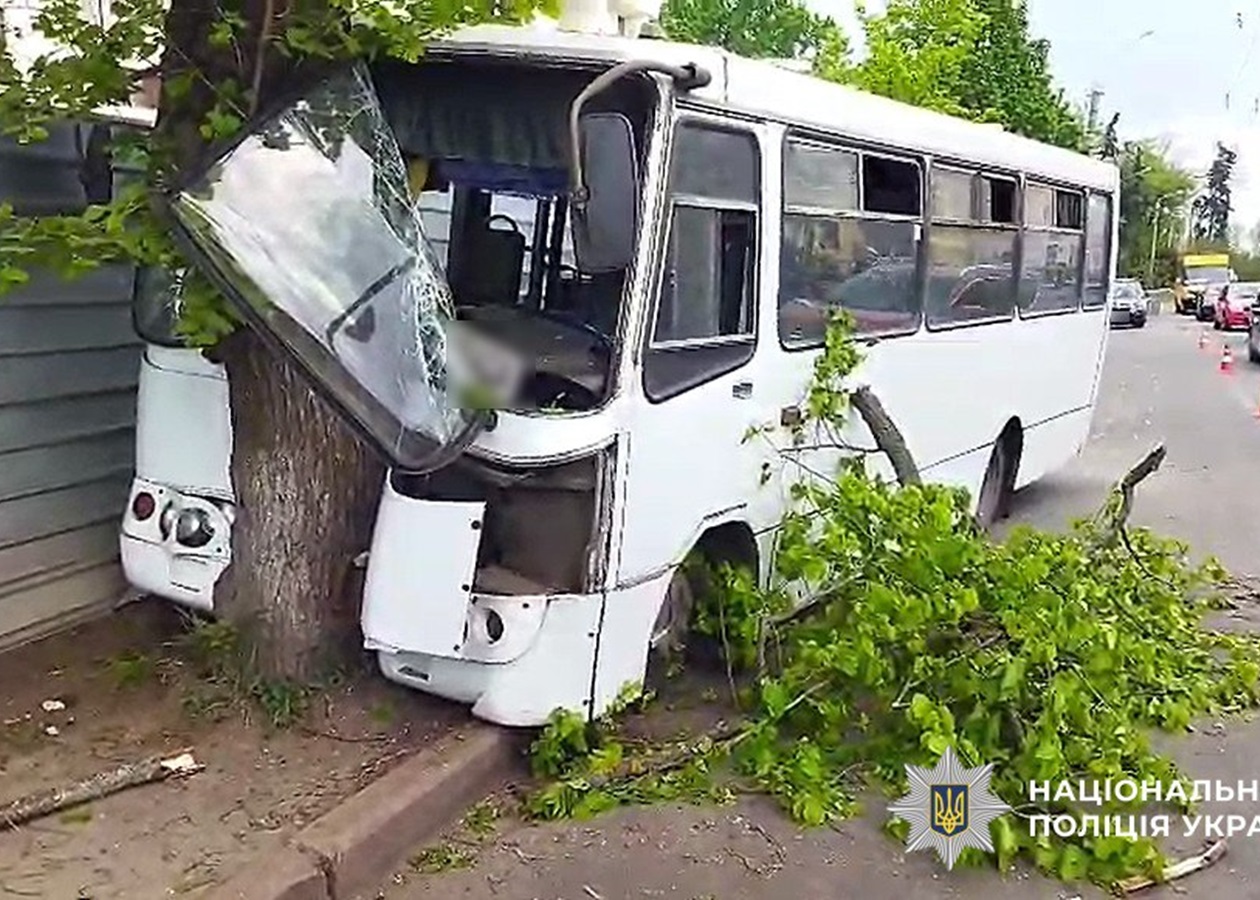 У Полтаві автобус врізався в дерево: серед постраждалих - дитина