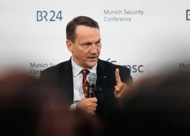 Сікорський заявив, що ЄС може стримувати Росію і без участі США