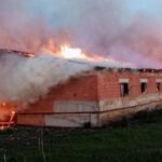 На Сумщині загинули сотні свійських тварин через російську атаку