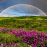 Україну накриє спека до +37, подекуди грози