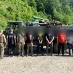 Кози, свині й ухилянти - на Закарпатті викрили схему перевізників