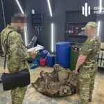 На Франківщині викрили військових на розкраданні пального
