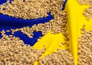 Став відомий найбільший імпортер агропродукції України серед країн ЄС