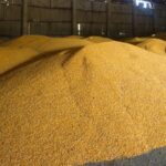 Україна пригрозила санкціями Бангладеш