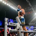 Шелестюк без зайвого шуму завершив бій ефектним нокаутом