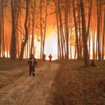На Харківщині вирують масштабні лісові пожежі