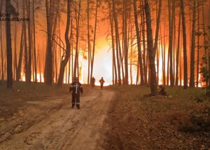 На Харківщині вирують масштабні лісові пожежі