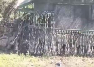 ЗСУ показали трофейний російський "танк-монстр"