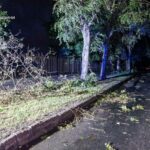 Розгул стихії: ДСНС Харківщини показала наслідки