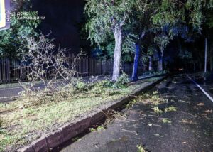 Розгул стихії: ДСНС Харківщини показала наслідки