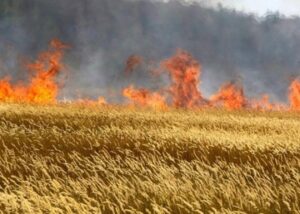 Росіяни вдарили по Кіровоградщині: виникла пожежа