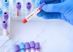 У Польщі перший випадок холери за шість років