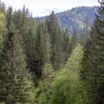 Екопрокуратура скасувала незаконну передачу землі у Мигово