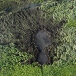 Винищувач Mirage потонув у болоті на Волині - ДБР