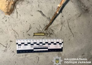 Жителю Київщини загрожує до трьох років за вбивство алабая