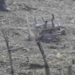 У Польщі заявили про падіння і вибух невідомого об'єкта