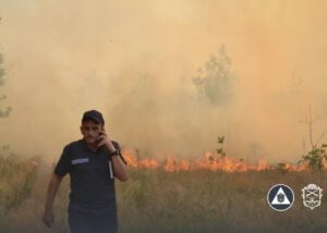 У Запоріжжі пожежа охопила острів Хортиця
